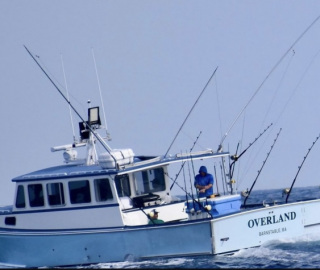 overland-barnstable-cape-cod-sportfishing