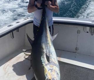predatuna-sportfishing-cape-cod