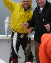 Cod Fishing Hyannis