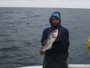 Cod Fishing Hyannis