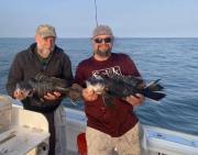 black-sea-bass-cape-cod-sportfishing-2023