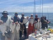 fluke-flounder-cape-cod-sportfishing-group