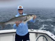 predatuna-sportfishing-cape-cod-2022-striper
