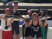 Striped Bass Fishing Hyannis