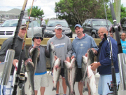Striped Bass Fishing Hyannis