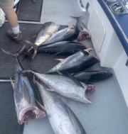 tuna-overnight-canyon-trips-cape-cod-fishing-trips