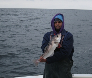 Cod Fishing Hyannis