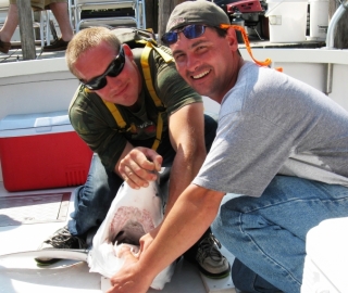 Shark Fishing Cape Cod
