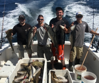 Hyannis Sportfishing 2016