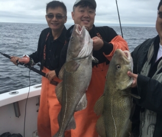 Hyannis Sportfishing 2016