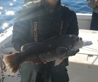 Hyannis Sportfishing 2016