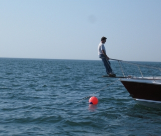 Porgie Sportfishing Hyannis