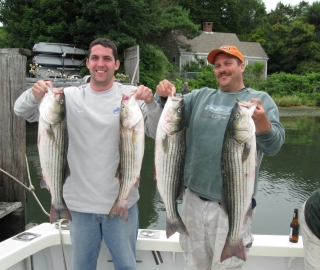 Striper Sportfishing Cape Cod