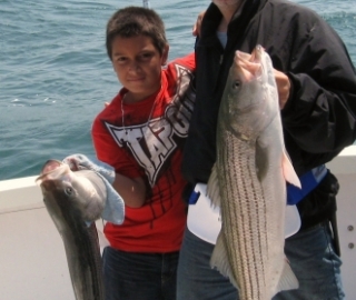 Striper Sportfishing Cape Cod
