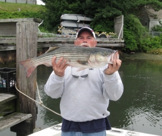 Striper Sportfishing Cape Cod