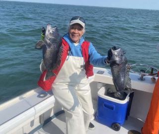 black-sea-bass-hyannis-sportfishing-2023
