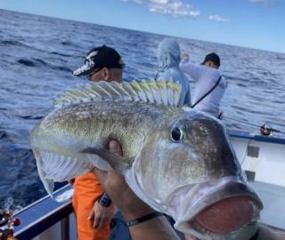 canyon-sportfishing-trips-cape-cod-1