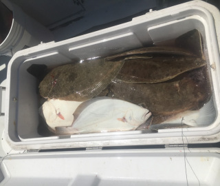 Fluke Fishing Nantucket Shoal