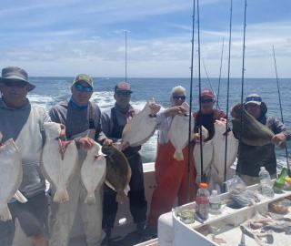 fluke-flounder-cape-cod-sportfishing-group