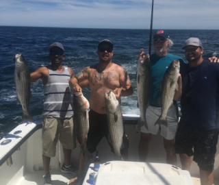 Striped Bass Fishing Hyannis