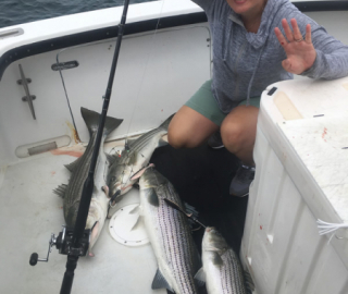 Striped Bass Fishing Hyannis