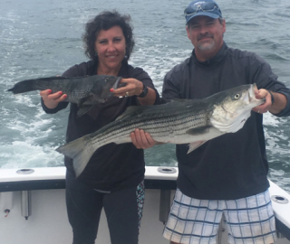 Striped Bass Fishing Cape Cod