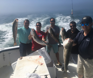 Striped Bass Fishing Hyannis