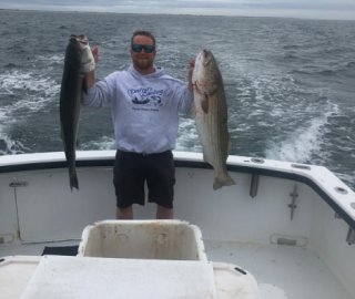 Striped Bass Fishing Hyannis