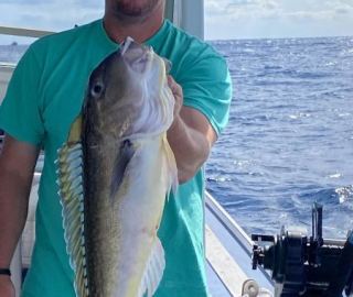 overnight-canyon-sportfishing-cape-cod-2024