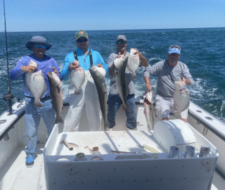 predatuna-sportfishing-cape-cod-2022