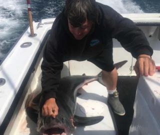 sportfishing-cape-cod-hyannis-2020-1