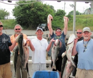 Striped Bass Fishing Cape Cod