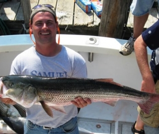 Striped Bass Fishing Hyannis