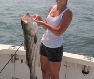 Striped Bass Fishing Hyannis