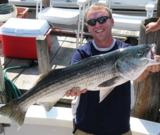 Striped Bass Fishing Hyannis