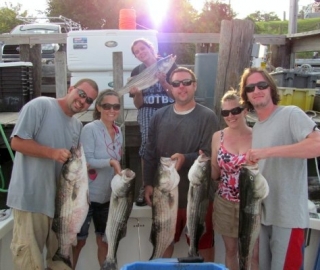 Striped Bass Fishing Hyannis
