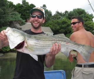 Striped Bass Fishing Hyannis