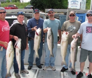 Striped Bass Fishing Hyannis Group