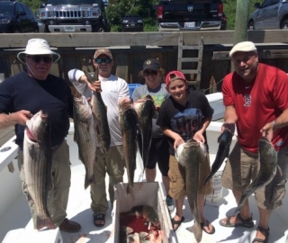 Striped Bass Fishing Hyannis