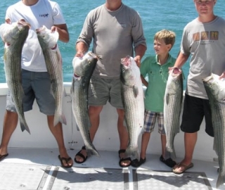 Striped Bass Fishing Cape Cod