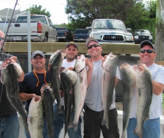 Striped Bass Fishing Hyannis