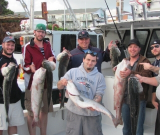 Striped Bass Fishing Hyannis Groups