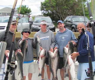 Striped Bass Fishing Hyannis
