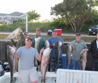 Striped Bass Fishing Hyannis