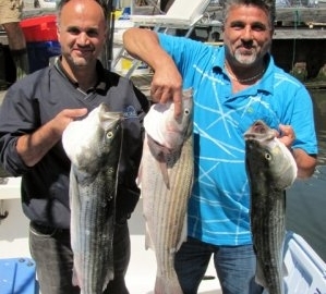 Cape Cod Sportfishing