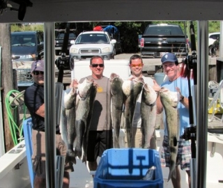 Striped Bass Fishing Cape Cod