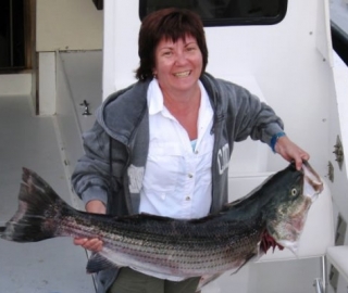 Striped Bass Fishing Cape Cod