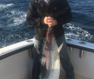 Tuna Sportfishing Cape Cod