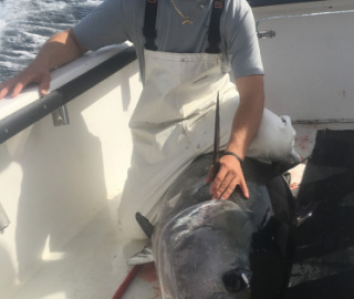 Tuna Sportfishing Cape Cod