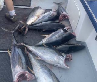 tuna-overnight-canyon-trips-cape-cod-fishing-trips